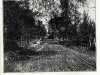 Avenue Pine Hill vers 1900-1905